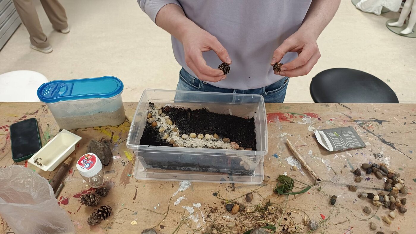 Person steht an einem Bastel- oder Arbeitstisch und hält zwei kleine Tannenzapfen über einer transparenten Kunststoffbox mit Erde, Sand und Steinen. Auf dem Tisch liegen weitere Naturmaterialien wie Kieselsteine, Blätter, Zweige und Zapfen sowie verschiedene Behälter und Arbeitsutensilien.