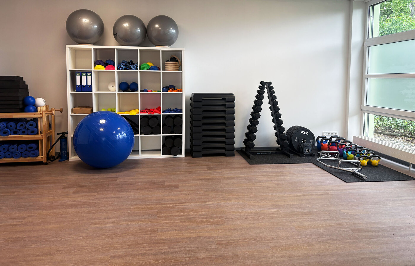 Ein Trainingsraum ausgestattet mit Gymnastikbällen, Kurzhanteln, Kettlebells, Steppbrettern und einem Regal mit weiterem Sportequipment für die Ausbildung der in der Physiotherapie..