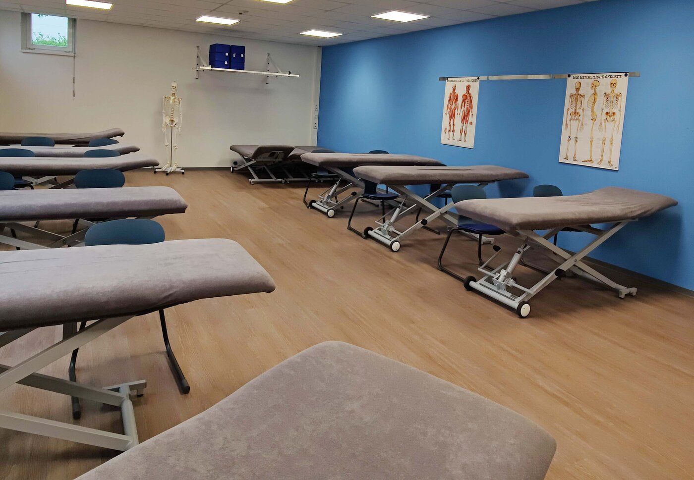 Übungsraum für Physiotherapie am Standort WBS SCHULEN Troisdorf mit mehreren Behandlungsliegen. An der Wand hängen anatomische Lehrtafeln und im Hintergrund steht ein Skelettmodell.