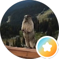 Profilbild von BuLLzeye