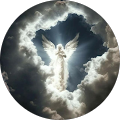 Profilbild von AR0160 R