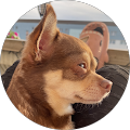 Profilbild von jessi
